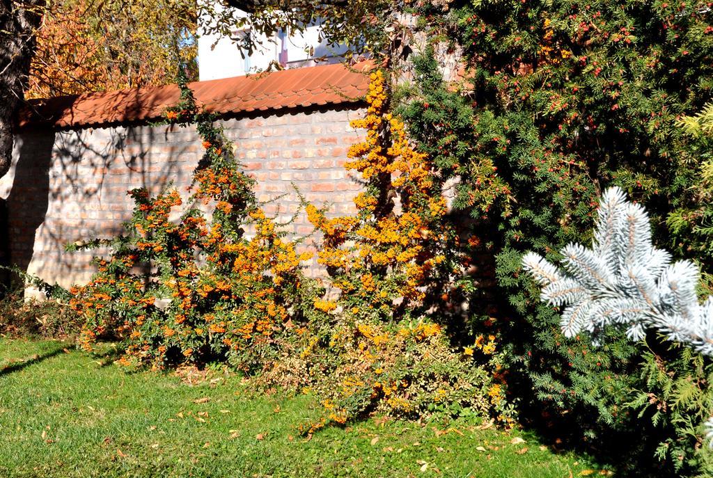 Ametiszt Hotel Harkány Zewnętrze zdjęcie